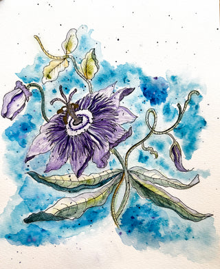 Passion Flower by Loren Estes. A watercolored passion flower drawn with pen with realistic coloring